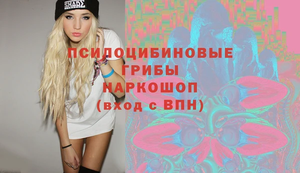 молекула духа Алексин